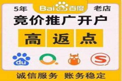 专业SEM托管服务，案例解读SEO优化策略